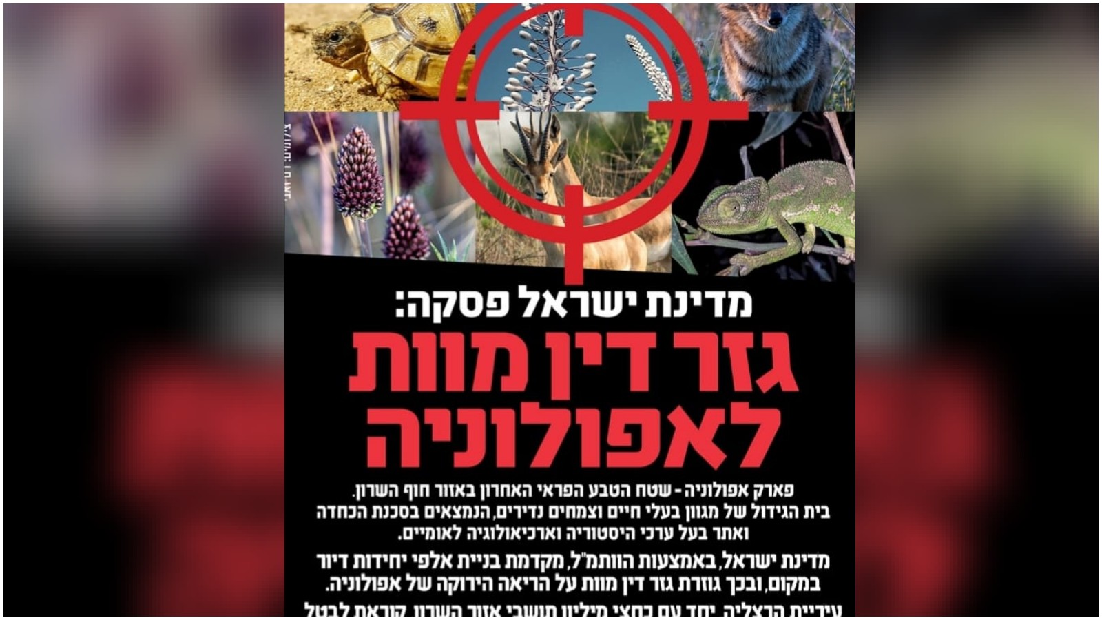 העירייה פרסמה עצומה חריגה: "המדינה גזרה דין מוות לאפולוניה"