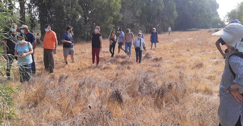 בשטח נצפו שועלים, דורבנים ועצים ותיקים: עמותת ריב"ה לא מוותרת על הפיכת תעש השרון לריאה ירוקה ענקית