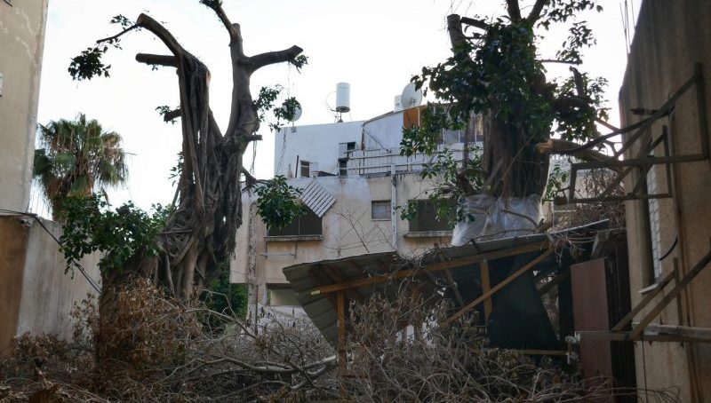 רגע לפני הריסת הבניינים בנוה ישראל: חולצו עשרות בעלי חיים