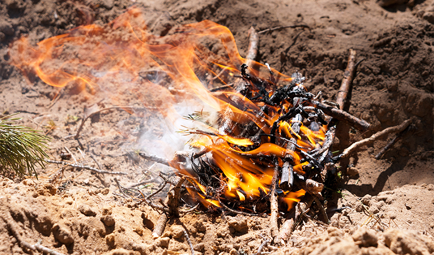 למי שלא מוכן לוותר על מדורת ל"ג בעומר: אלו המקומות המותרים