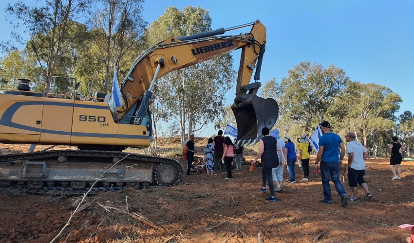 "בשלושה ימים חיסלו פנינת טבע נדירה"